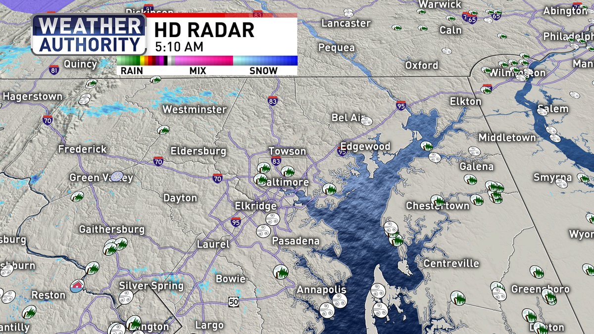 Amy Aaronson tweet media