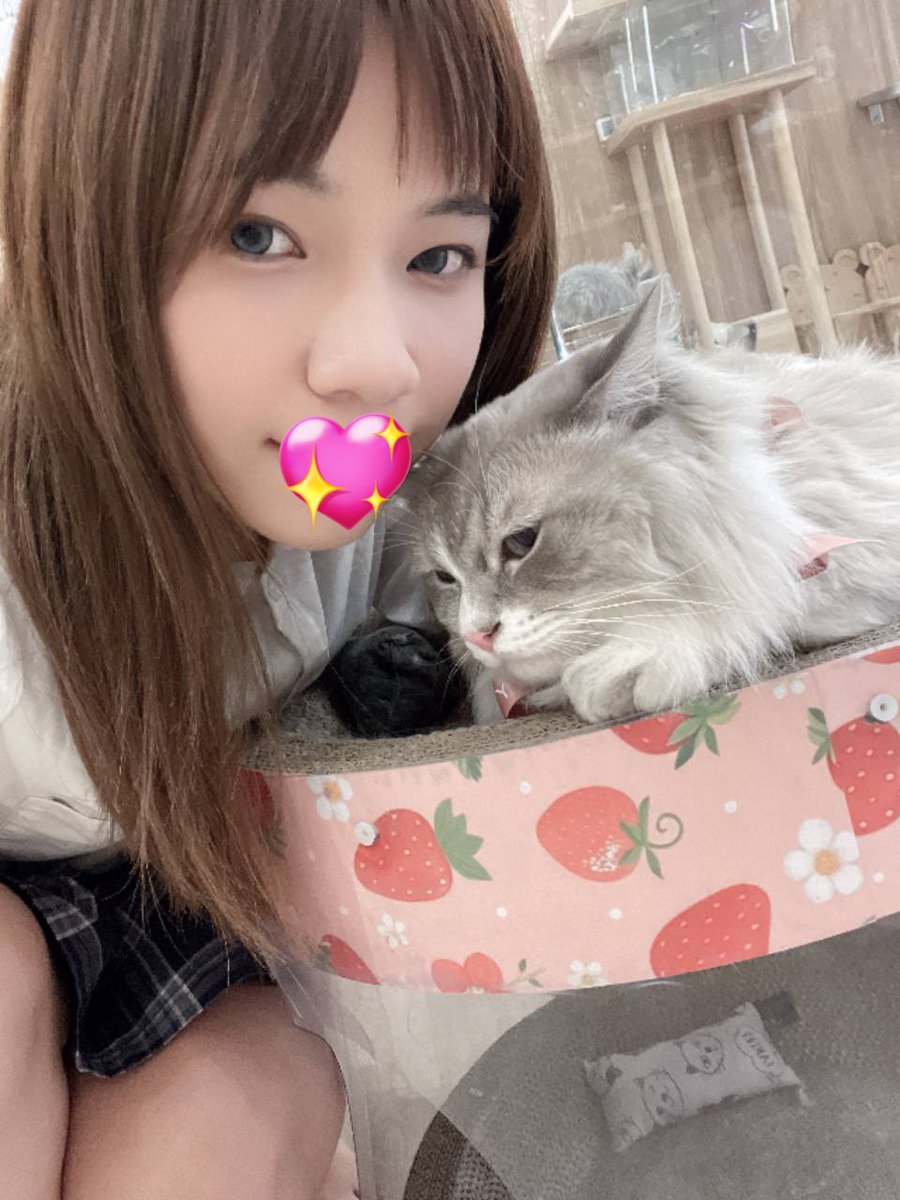 小小庫米😈 tweet media