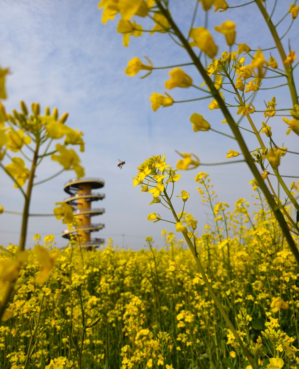 云深不知处 tweet media