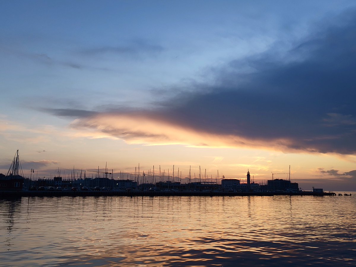 Rin Hallward 🇺🇦 tweet media