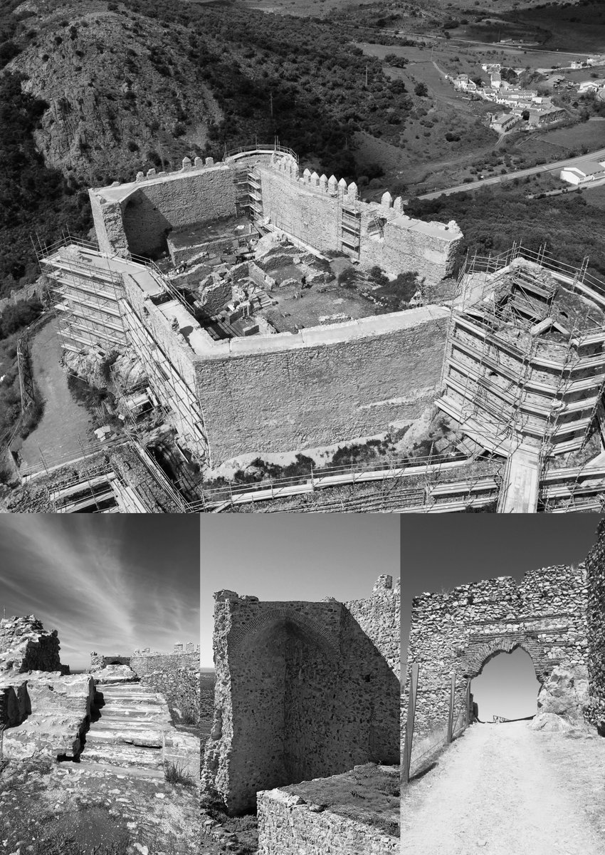 Grupo PECSA tweet media