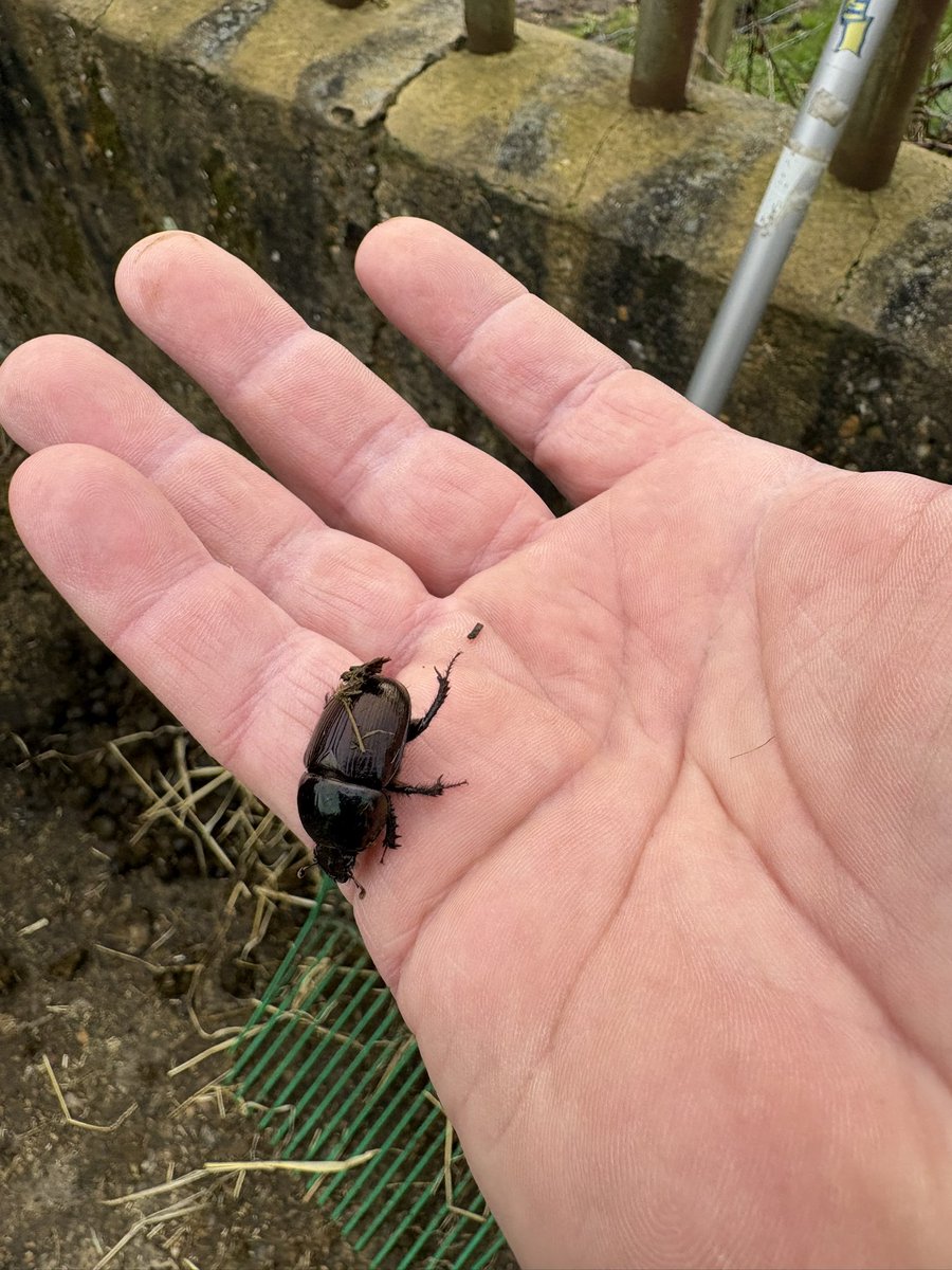 AnthonyBecvar tweet media