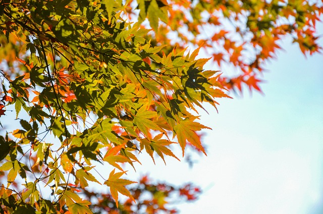 Mike Munns tweet media