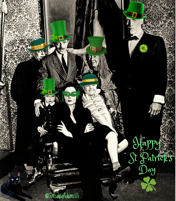 Tuesday Adams™ 🌹 tweet media