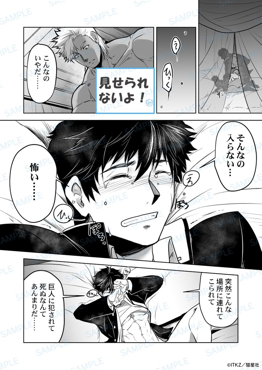 彗星社～毎月18日頃新刊発売！～ tweet media