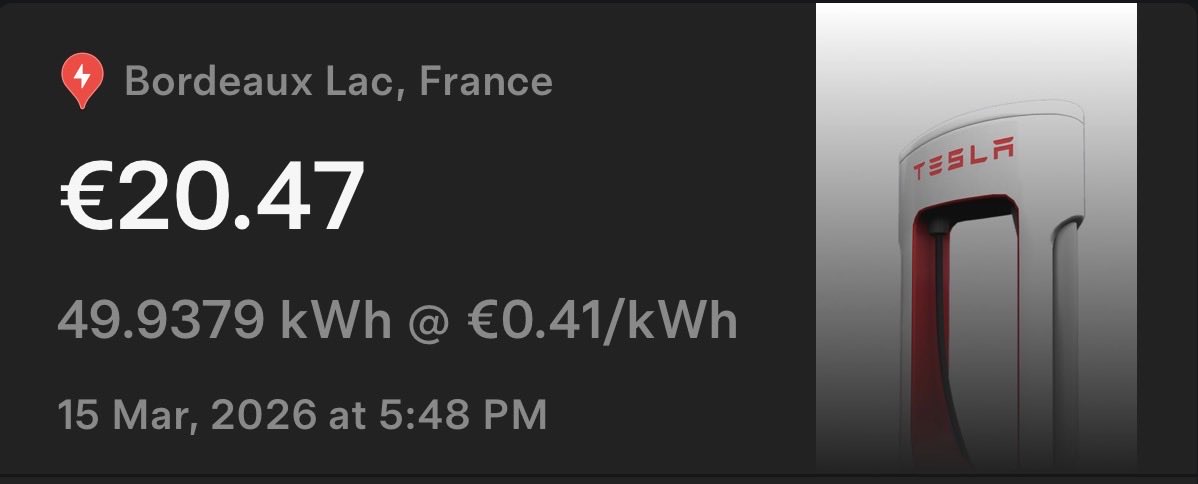 TeslaStars✨ tweet media