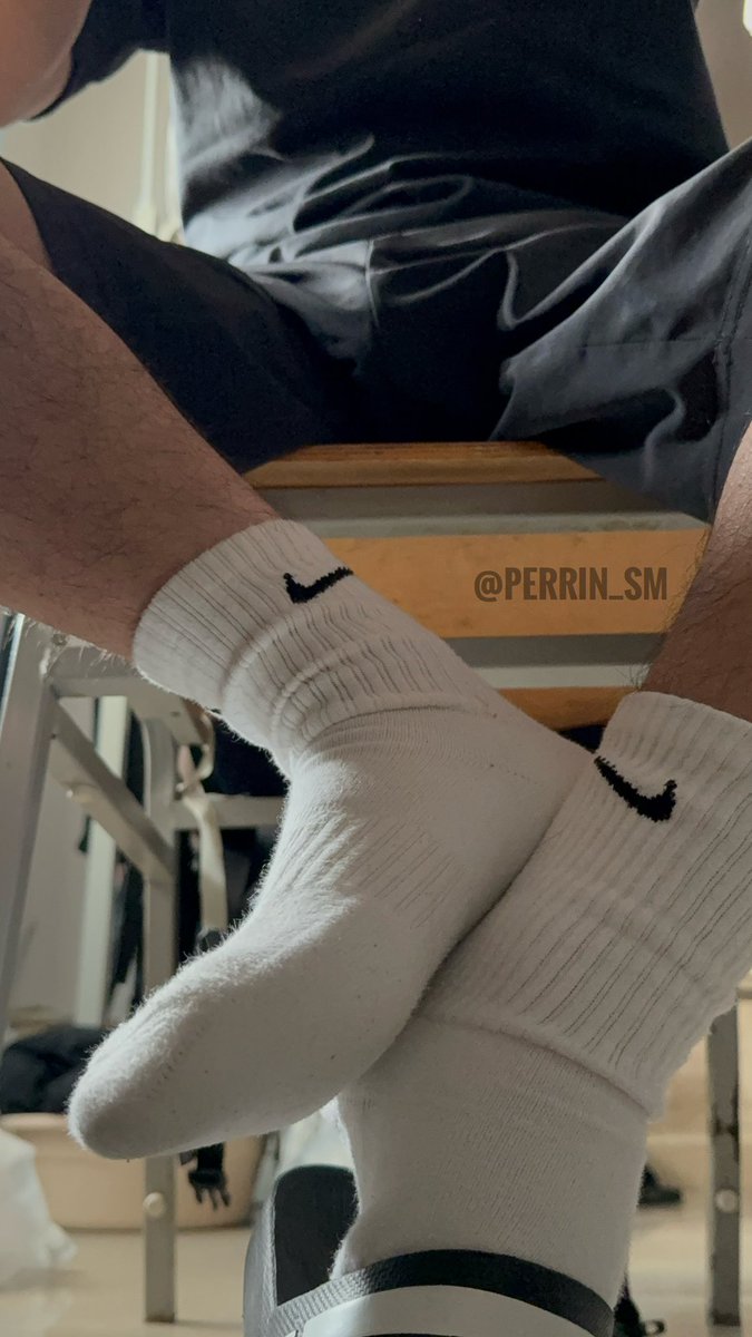 小小Perrin tweet media