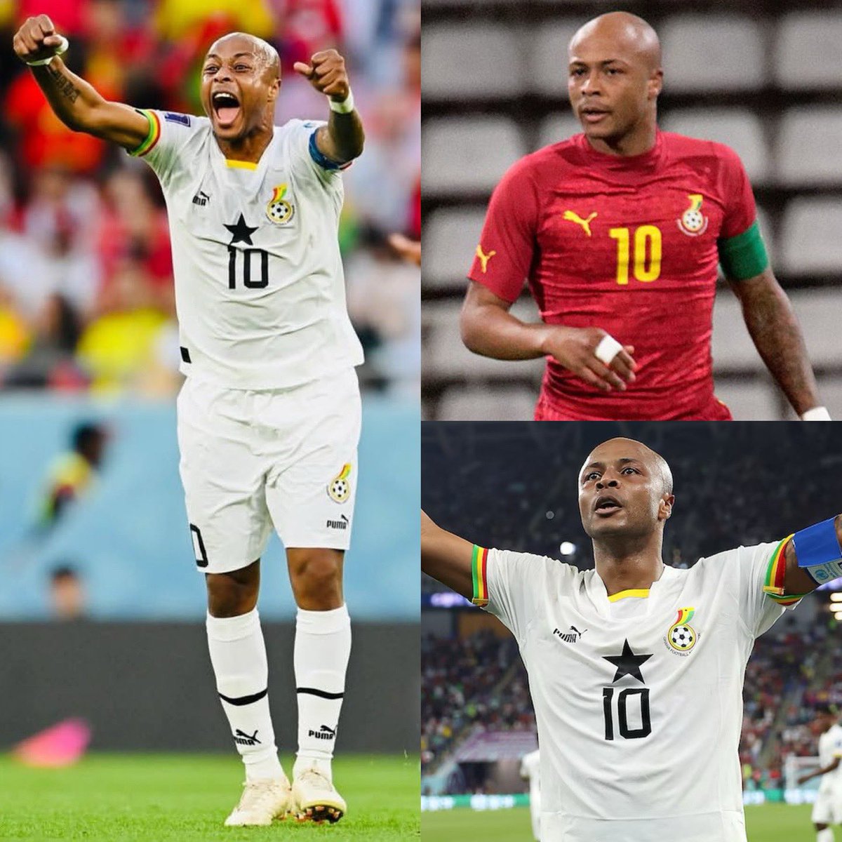 MPK 𓃵 tweet media