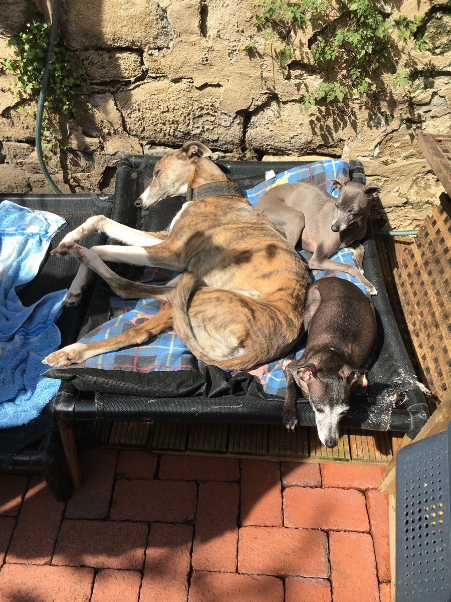 Gary Holman tweet media