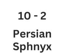 viewsbank's tweet image. We have a £10 Dingbat for todays competition

Leave your answer and Viewsbank username in the comments/reply section and you could be our next winner

Good luck 🙂 
#competitions, #surveys, #polls