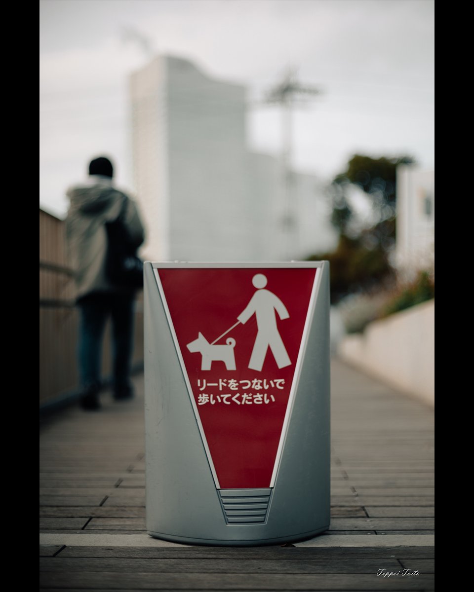 teppei_t_photo's tweet photo. Yokohama 260316
NOKTON 50mm F1.1
#うつ病でも撮る #社会不安障害でも撮る #吃音でも撮る #うつ病 #社会不安障害 #吃音 #dépression #depressionhelp #stuttering #anxietyrelief #横浜 #yokohama https://t.co/AEe0jIGZNx