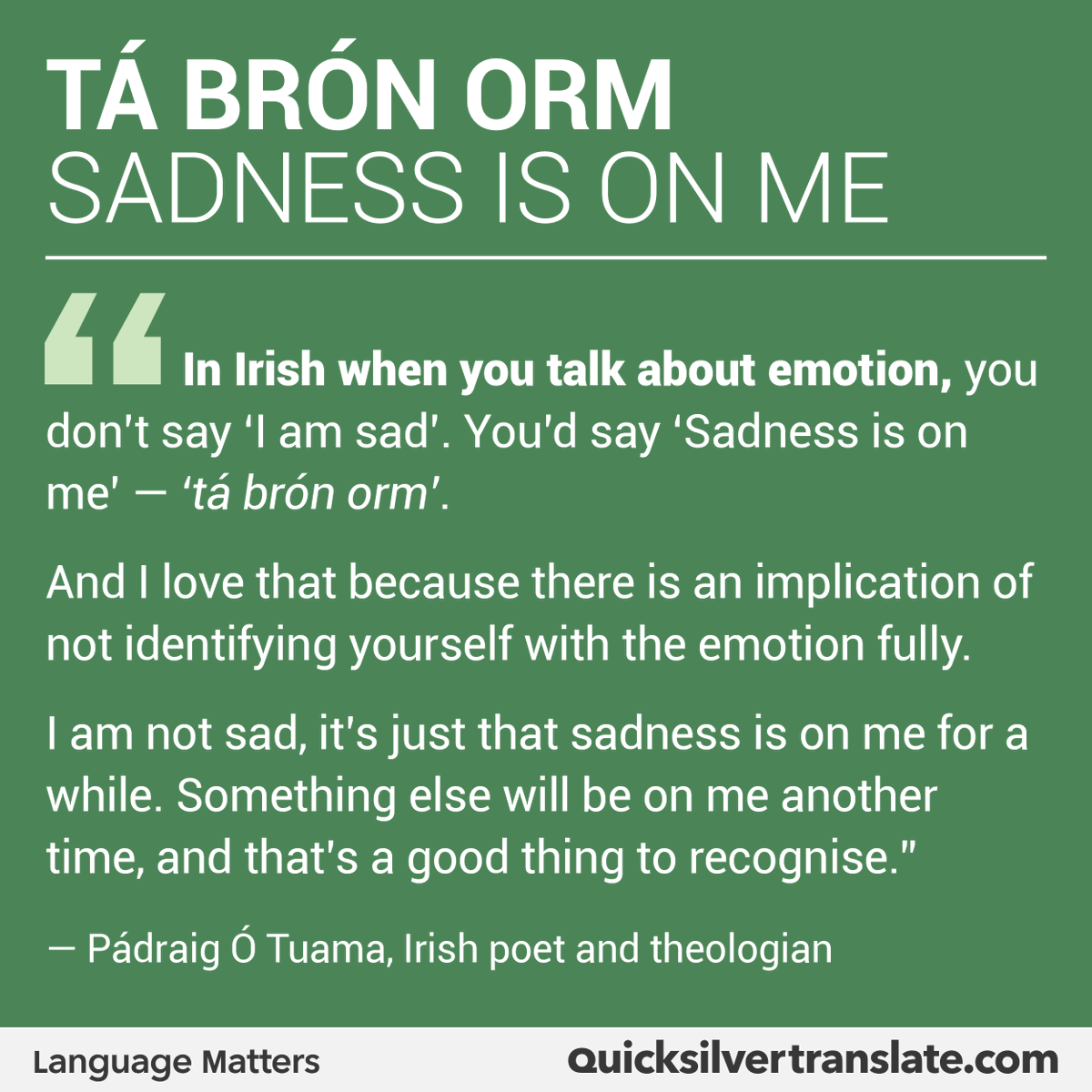 🇮🇪 Emotions are universal, but our culture influences how a person relates to their feelings, and our language determines how we speak of them. 

In honour of #StPatricksDay, here, #Irish poet, Pádraig Ó Tuama, muses on how the Irish talk of sadness. 💚