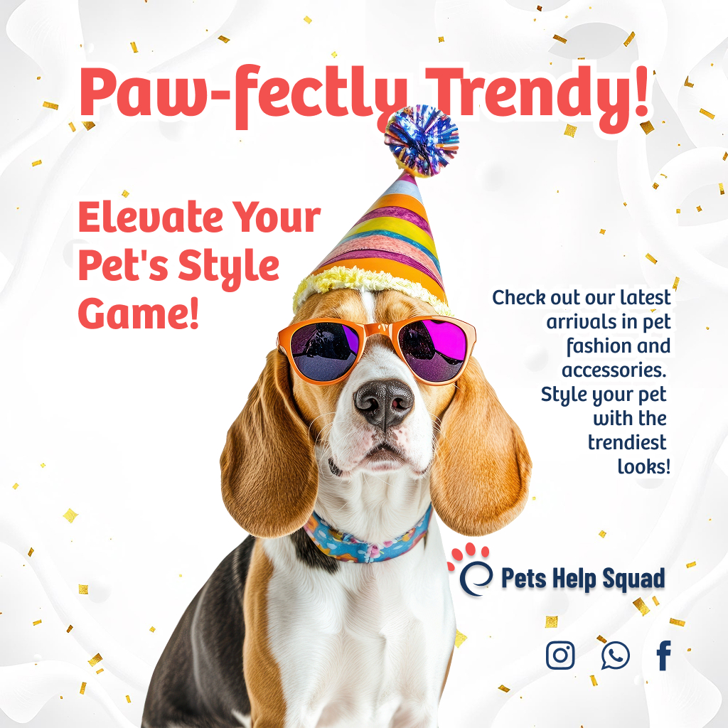 Petsinsync's tweet photo. Check out our latest arrivals in pet fashion and accessories. Style your pet with the trendiest looks!

#PetFashion #StylishPets #PetsHelpSquad https://t.co/byeGOVK9bs