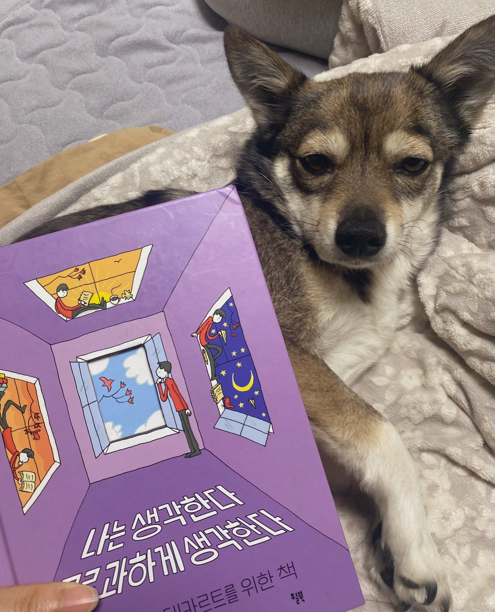 𝕏 리쭈 𝕏 tweet media