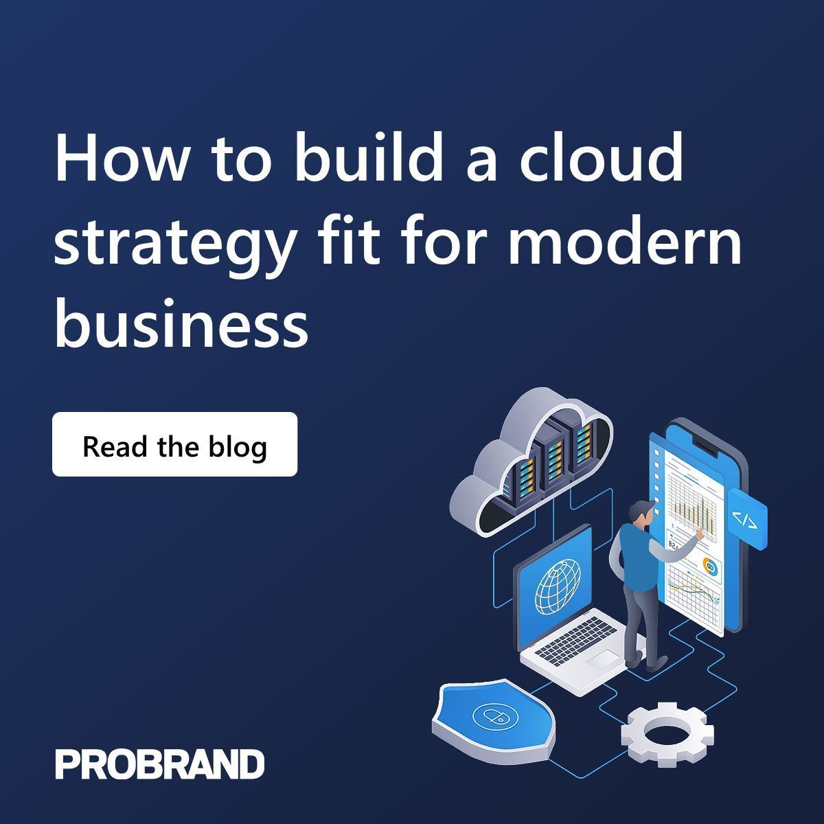 Probrand tweet media