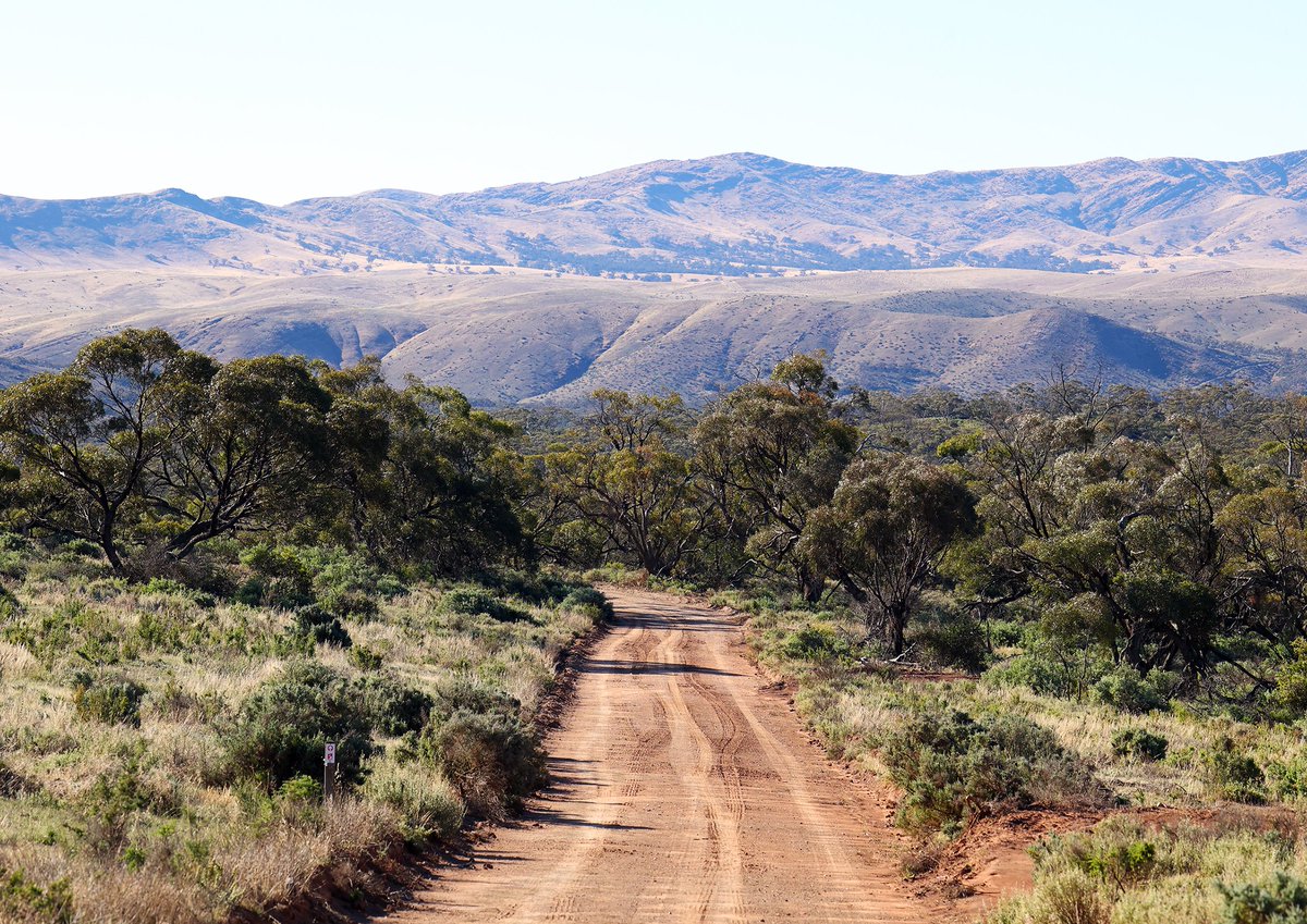 Sandy Horne tweet media