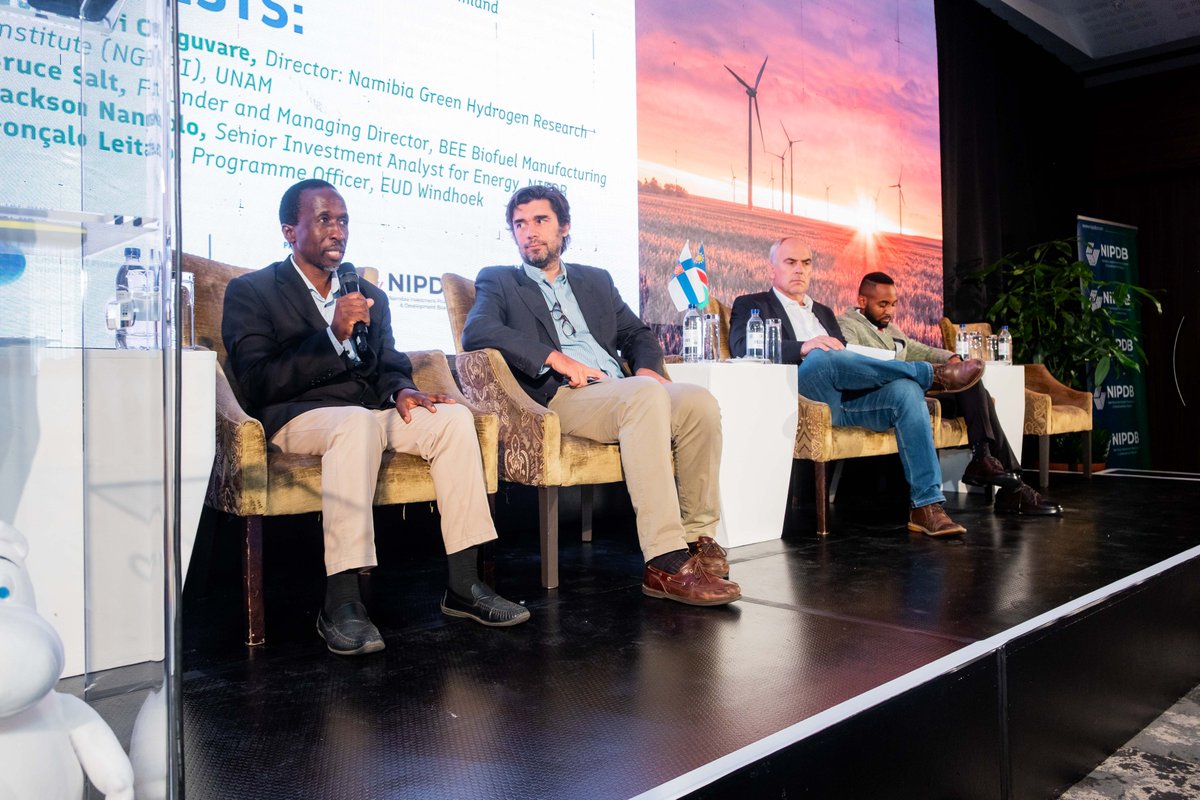 Finland in Namibia tweet media