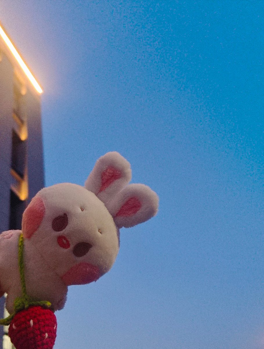 云深不知处 tweet media