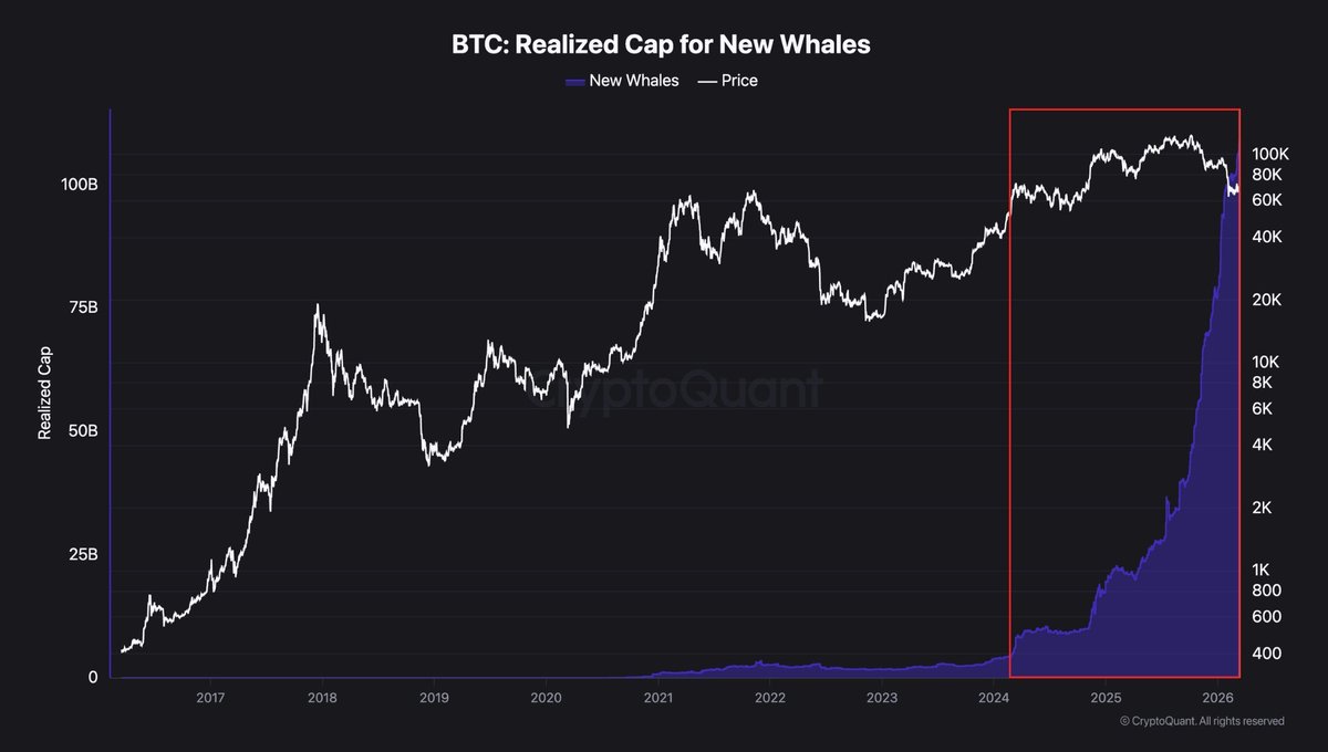 Crypto Rover tweet media
