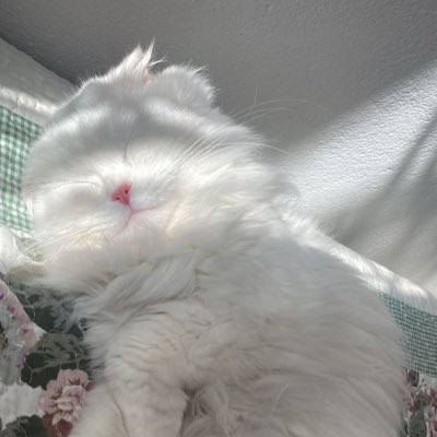 #YeniProfilResmi