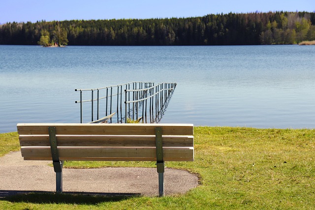 Lola Kaiser tweet media