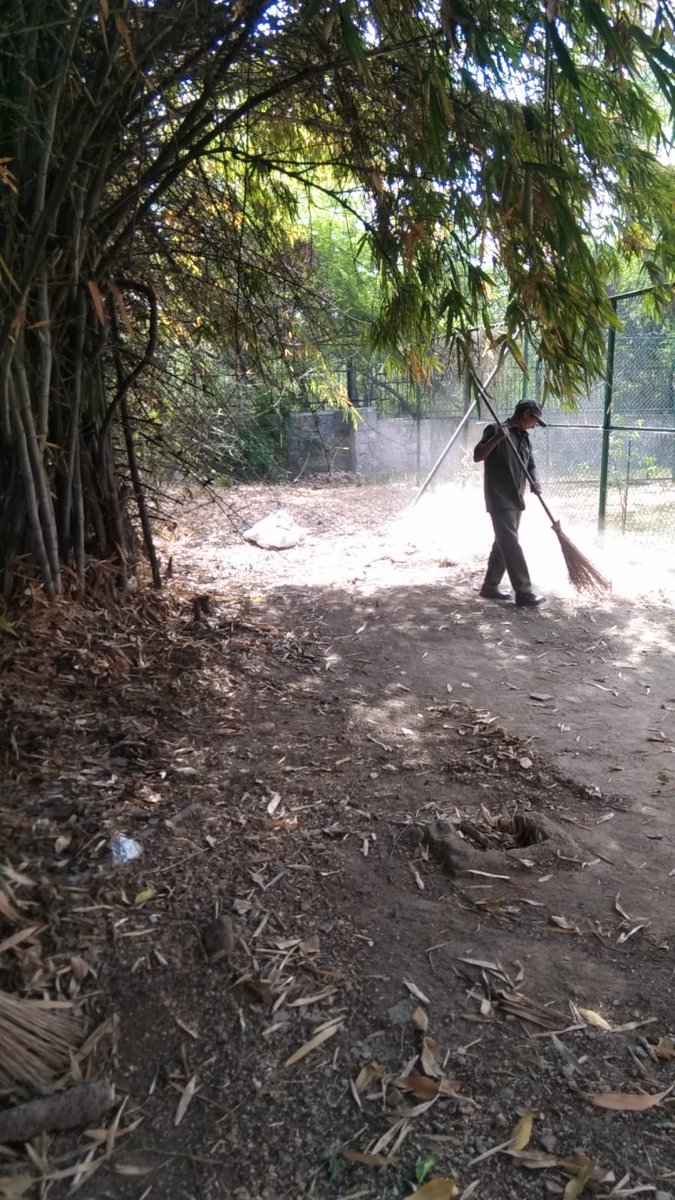 IIMC_India's tweet photo. An outdoor cleaning drive at IIMC New Delhi under #SpecialCampaign5.0 focused on waste removal, sweeping open areas and improving overall campus cleanliness & hygiene, promoting a clean & sustainable approach.
@MIB_India @SwachhBharatGov @swachhbharat @SwachSurvekshan @PMOIndia https://t.co/0W8jP1bnuM