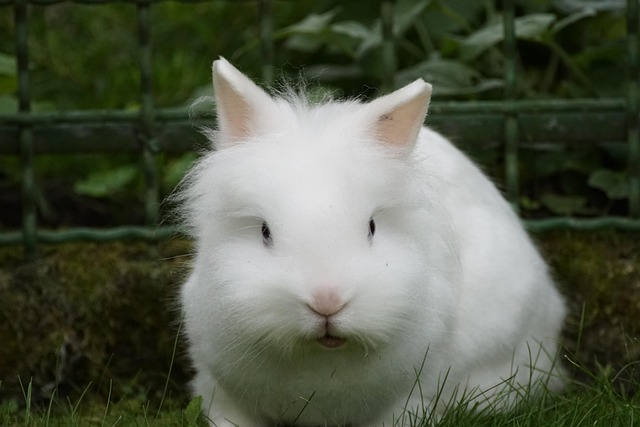 小樱桃🍒 tweet media