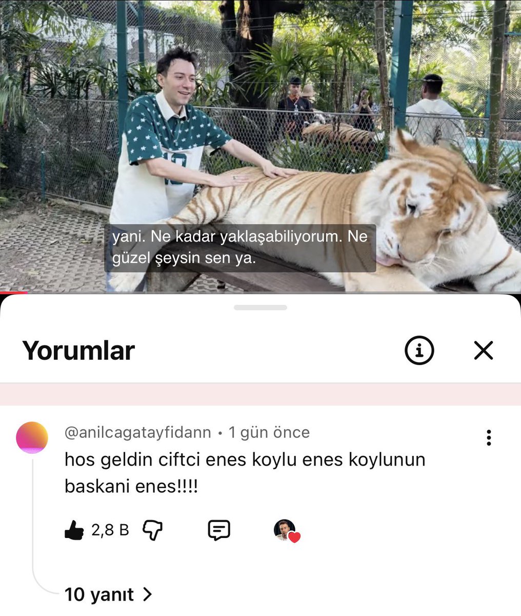 yatirion's tweet photo. Bu yoruma okadar çok güldüm ki 🤣👌
#enesbatur https://t.co/Hu2phd8Dev