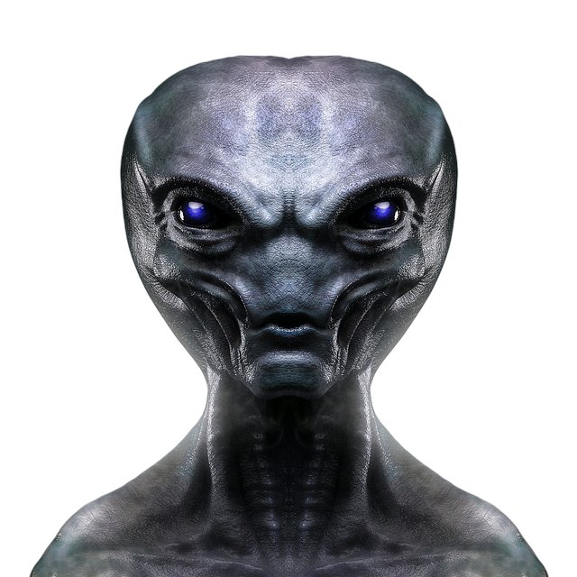 Kyle Siger tweet media