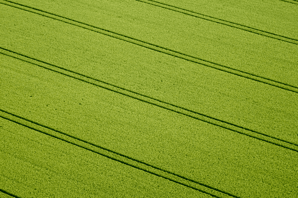 Agriculture by S&P Global Energy tweet media