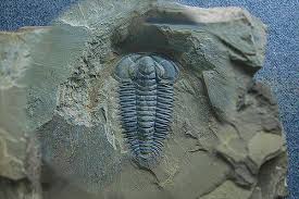 Chinese Embassy in Poland tweet media