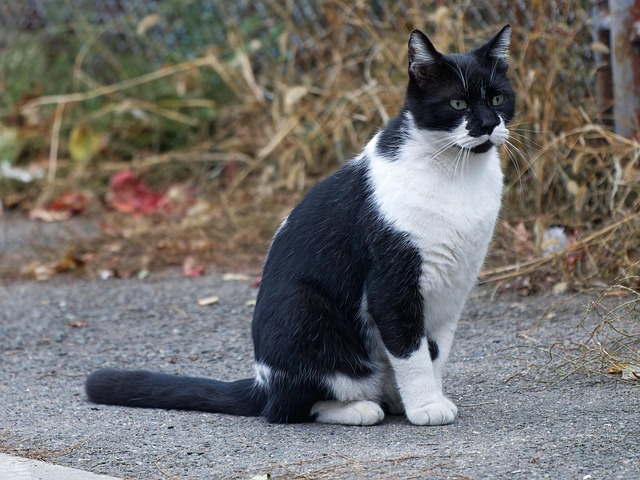 Jere Douglas tweet media