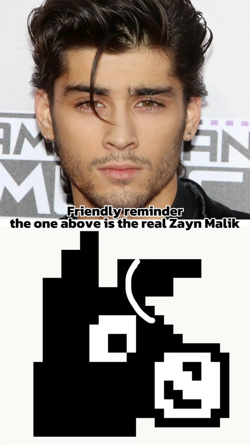bianluozi's tweet photo. Friendly reminder: this one is real Zayn Malik https://t.co/mMsVVkBKMI