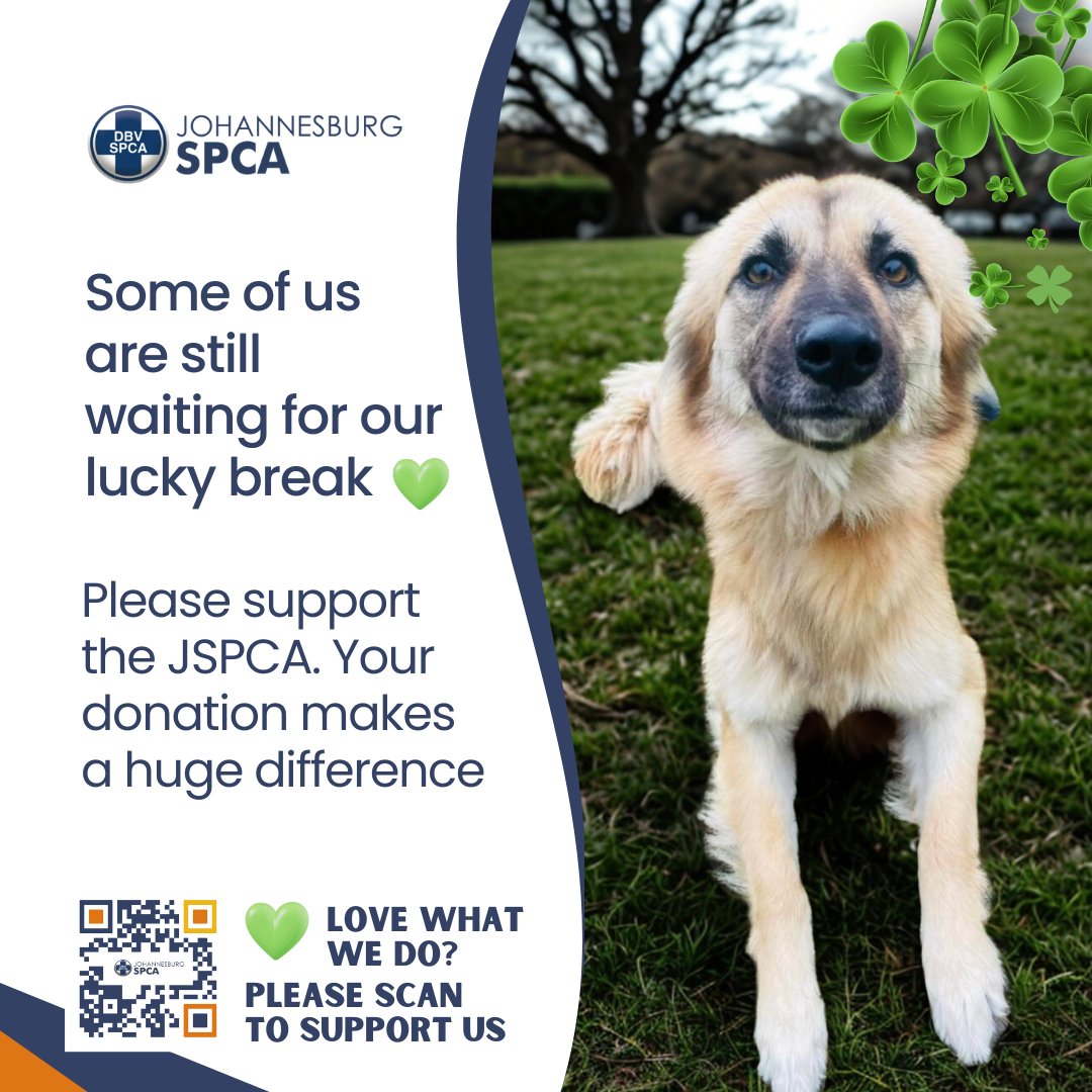 Johannesburg SPCA tweet media