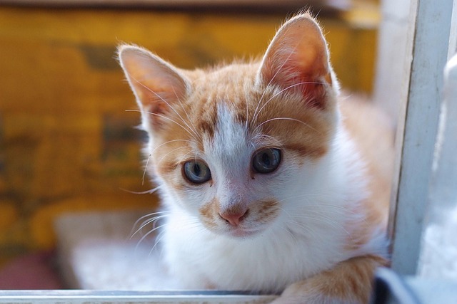 Michelle Guzman tweet media