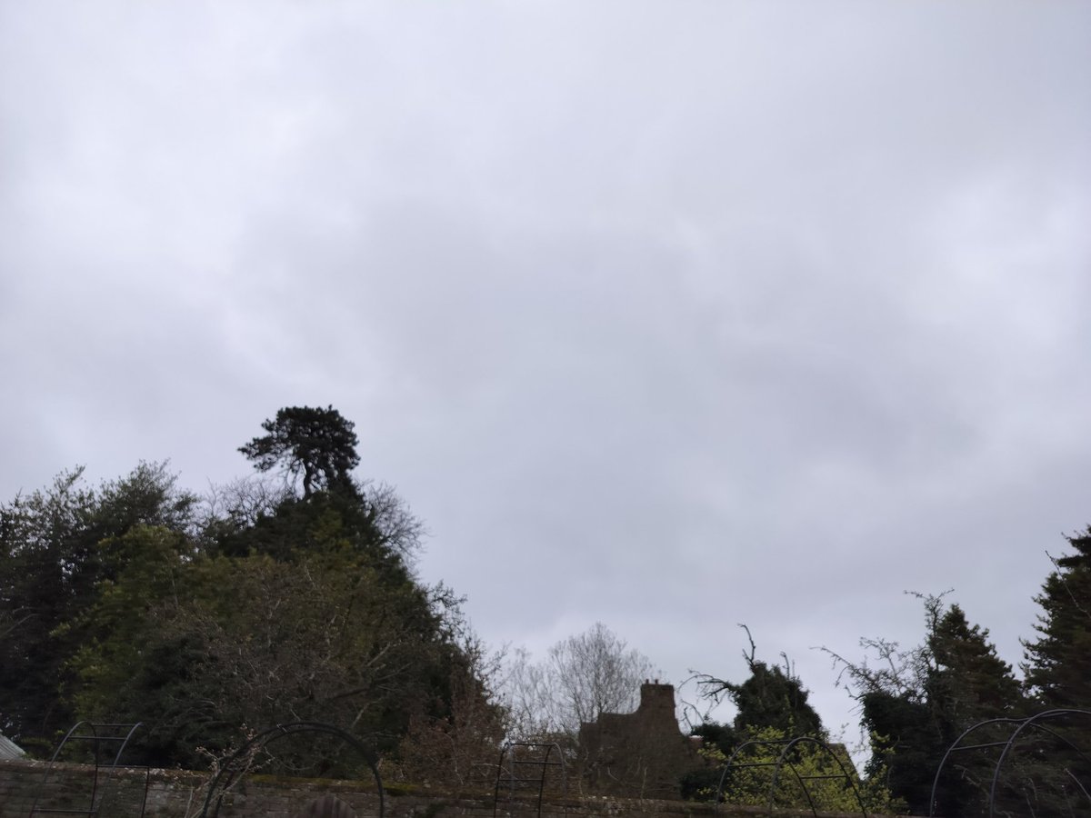 <a href="/IonisedSkyWatch/">Alex M</a> Morning Alex 👋
Forecast vs actual. I'm hoping for clear skies by 11am, but will it happen I wonder??
Have a good day!