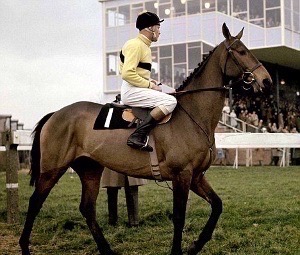 Prof. Frank McDonough tweet media