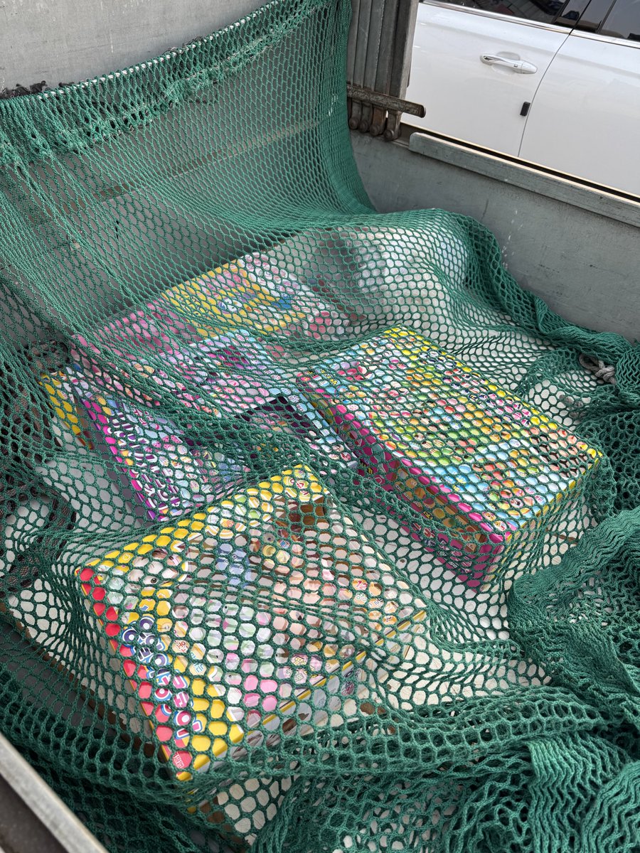 캐나다 부자엄마 tweet media