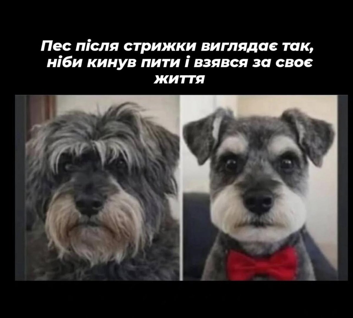 Ага😂