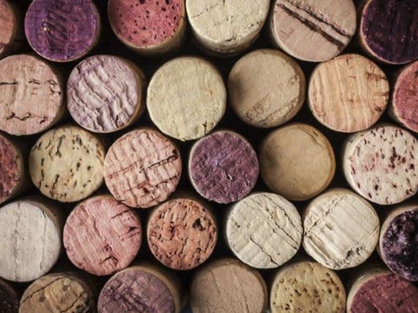 Observatori Forestal Català tweet media