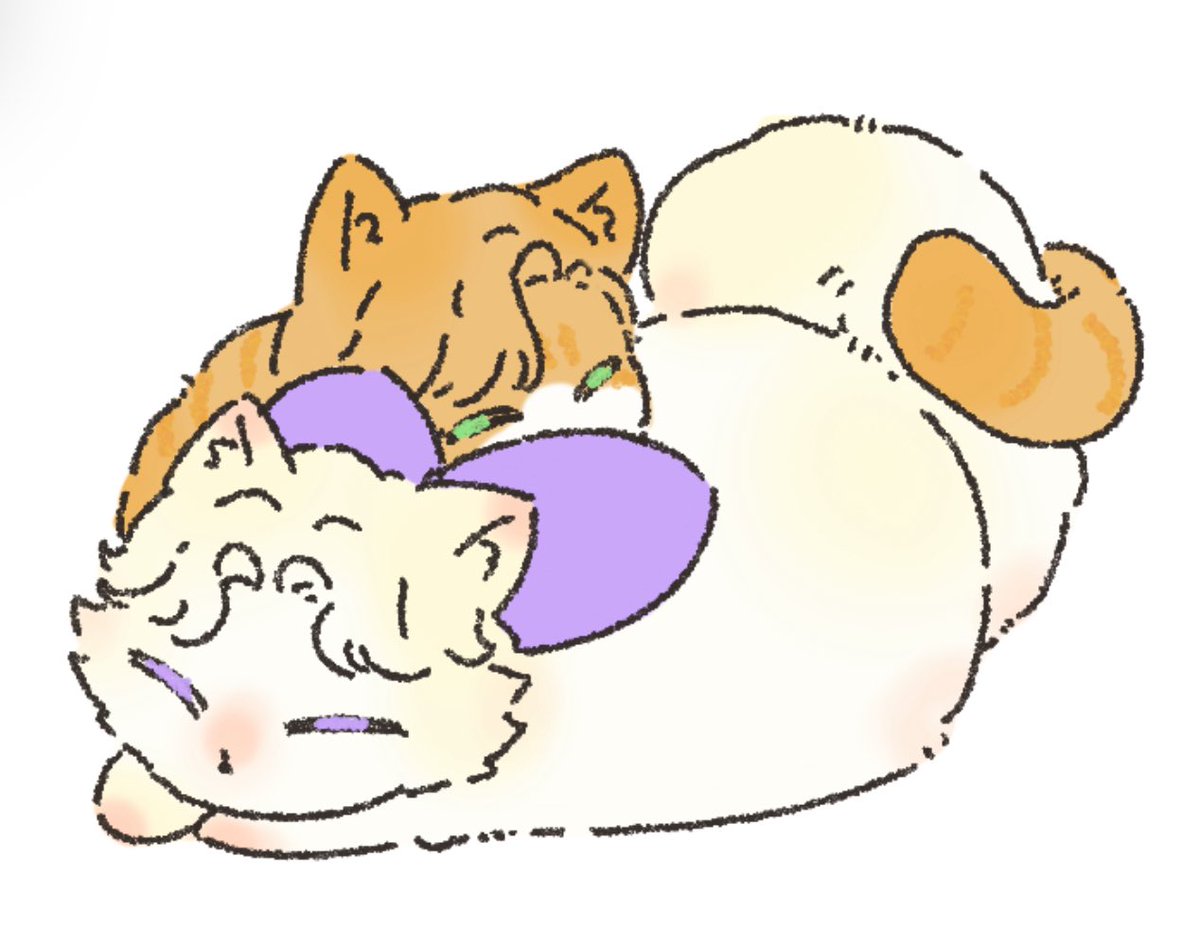 DonutiePop tweet media