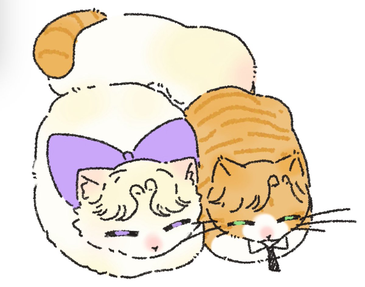 DonutiePop tweet media