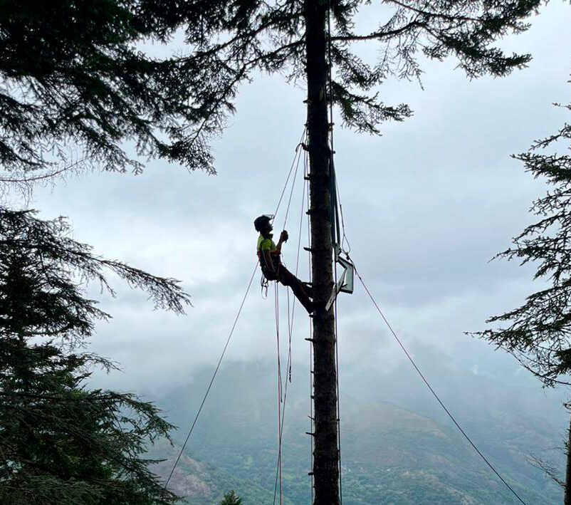 Observatori Forestal Català tweet media