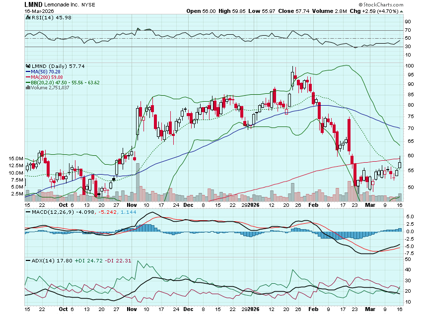 Option Millionaires tweet media