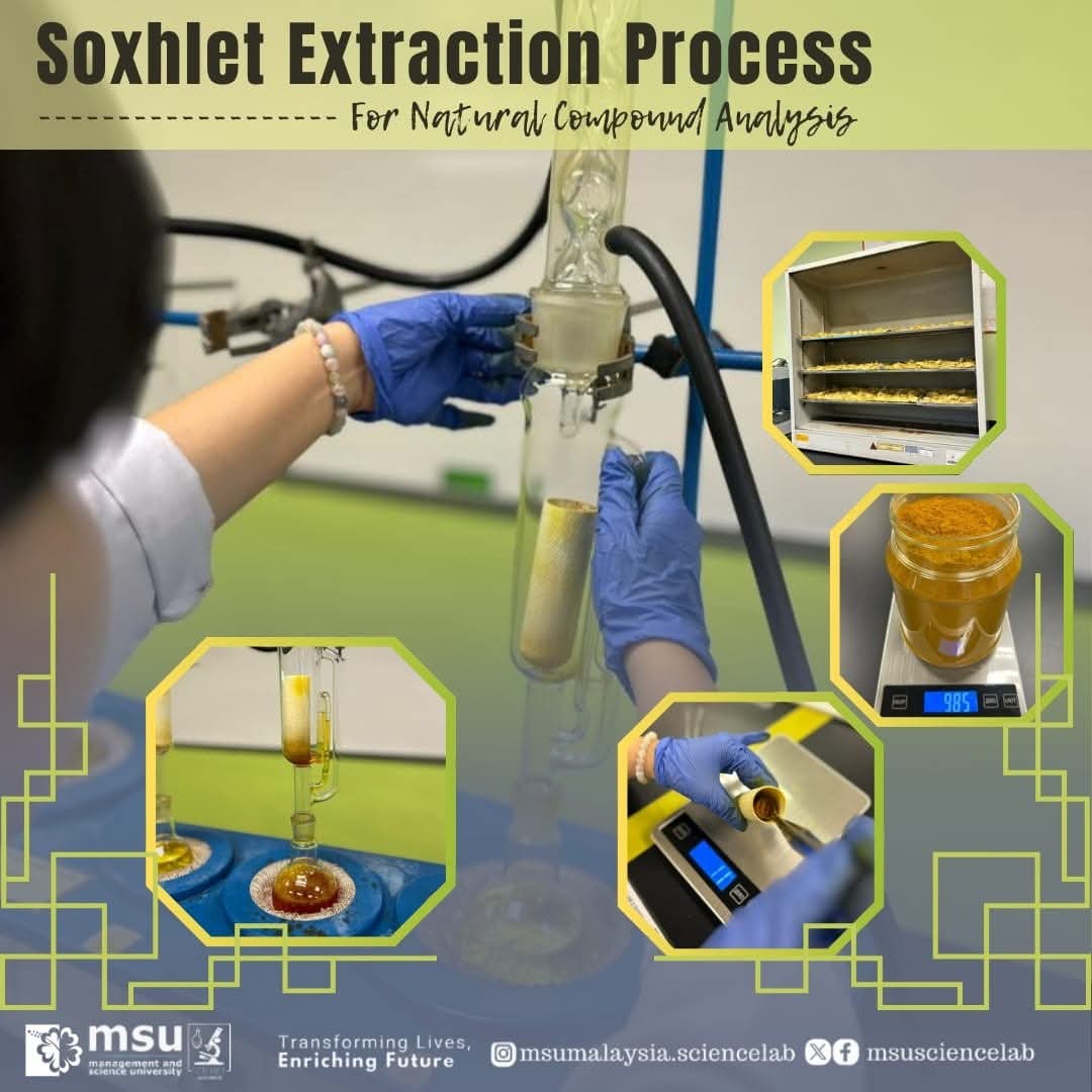 MSUsciencelab's tweet image. 🔬 Soxhlet extraction in action!
#MSUmalaysia students extracting bioactive compounds from natural sources for research. 🧑🏻‍🔬🌱
#MSUScienceLab #LearningExperience #SDG4QualityEducation