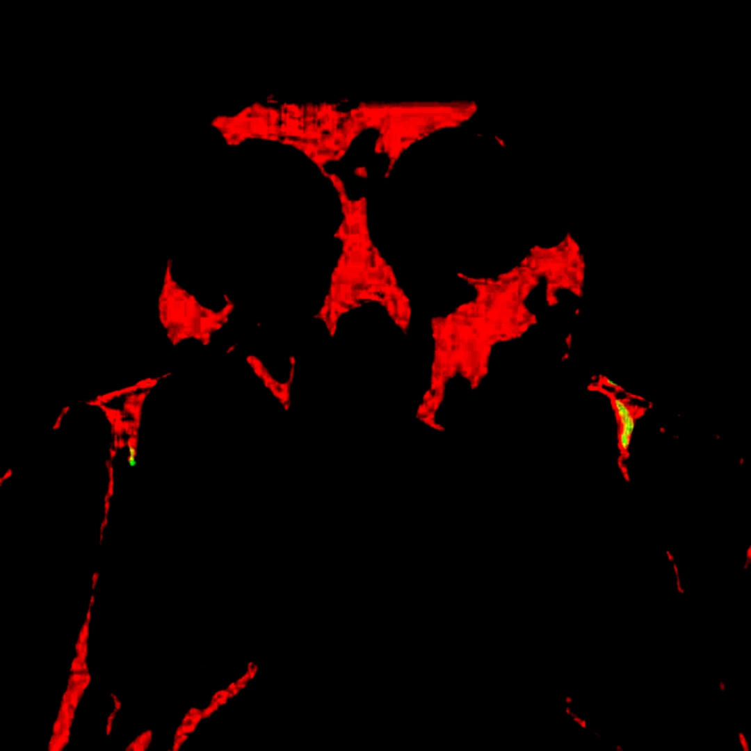 Dragon Pizza tweet media