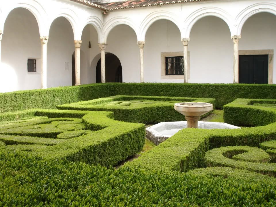 manuelima tweet media