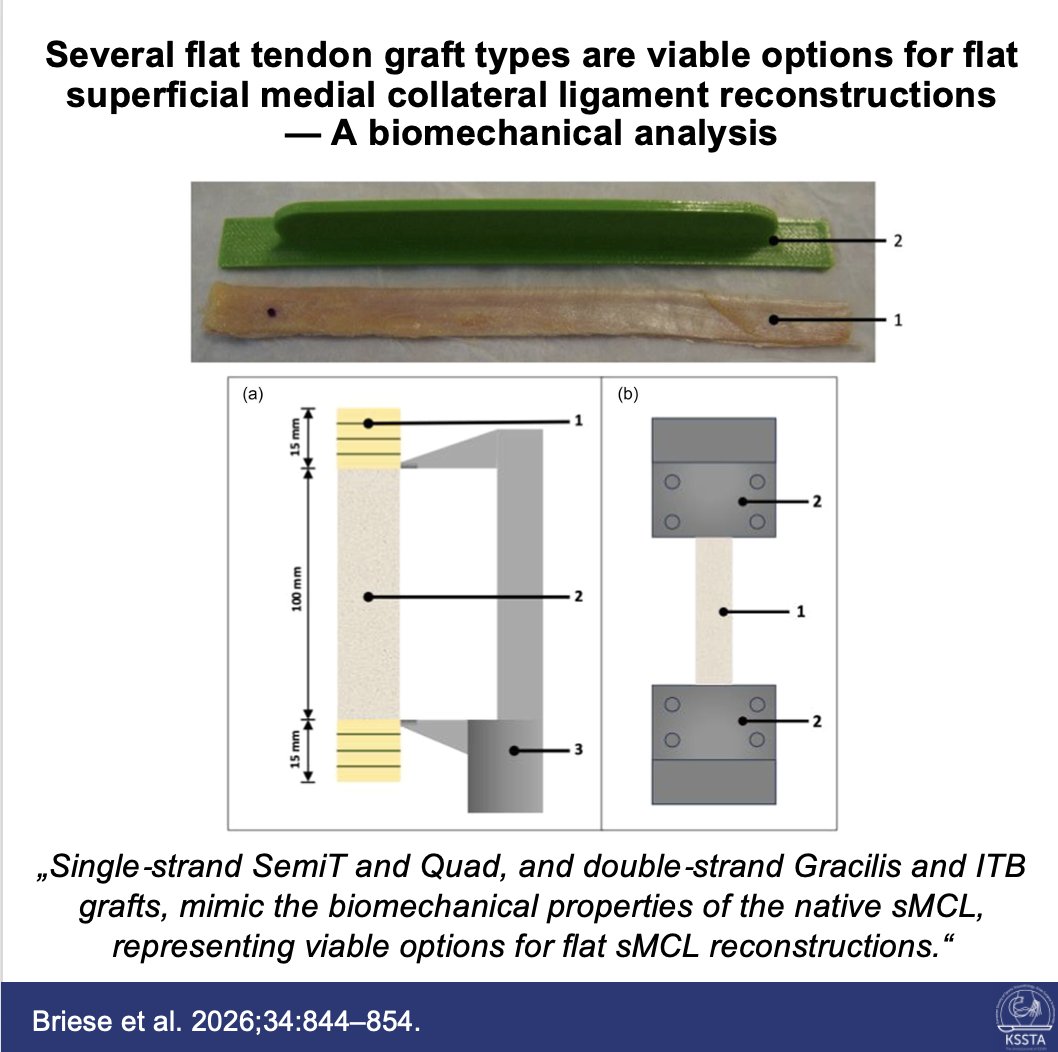Knee Surgery, Sports Traumatology, Arthroscopy tweet media