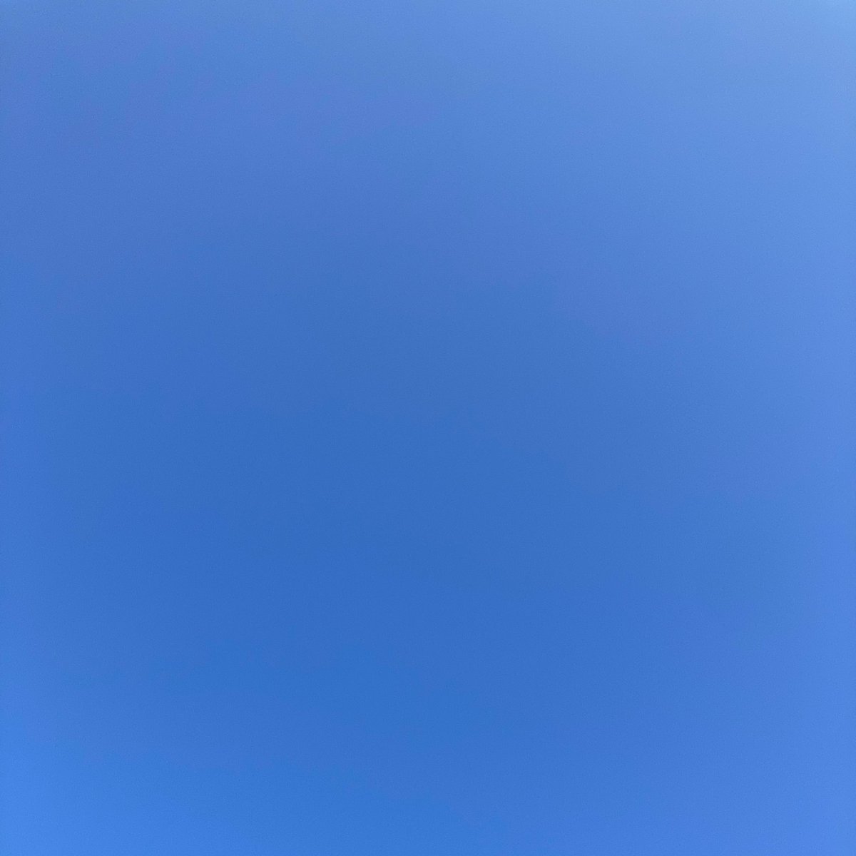 gaga0904's tweet photo. 🩵💙🦋🦕🪼🐟🐬🐳❄️💧💦🧊💎 https://t.co/hnecGNUHyg