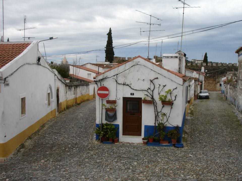 manuelima tweet media